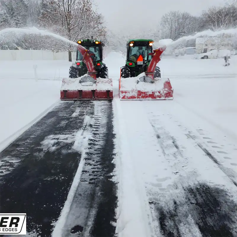 Meet No Snow